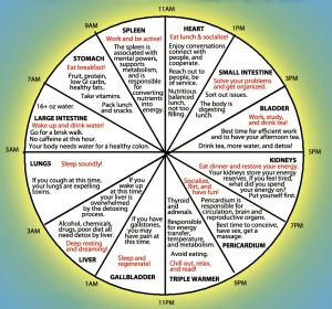 Horary Cycles And Bi-hourly Clock – Elemental Changes Oriental Medical Arts